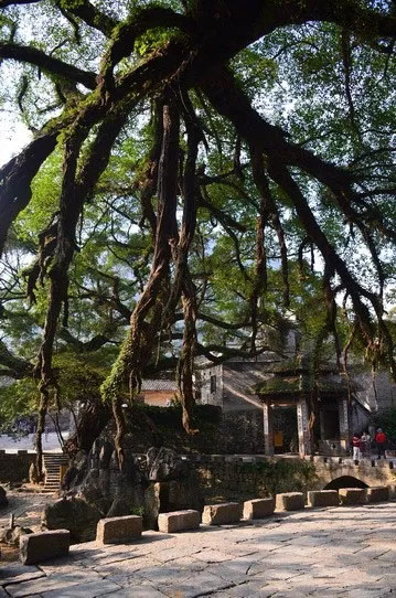 博皓游記 | 夏風微醺的綺夢，領略賀州黃姚古鎮(zhèn)、姑婆山閑憩之美-12