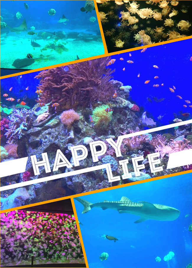 廣東博皓親子游：珠海長隆海洋王國，探索海洋生物的奧秘，奇妙的動(dòng)物世界