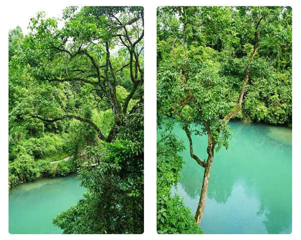 多彩貴州，魅力天下，2021年廣東博皓快樂貴州行-29