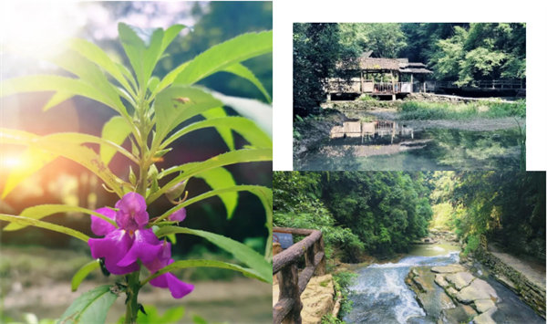 “湘”約鳳凰，相守未來——2022博皓快樂湖南行    -34