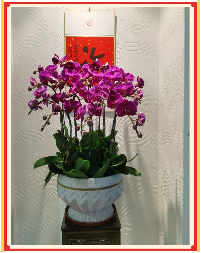 廣東博皓開(kāi)工大吉丨金虎騰躍，兔來(lái)運(yùn)轉(zhuǎn)           -23