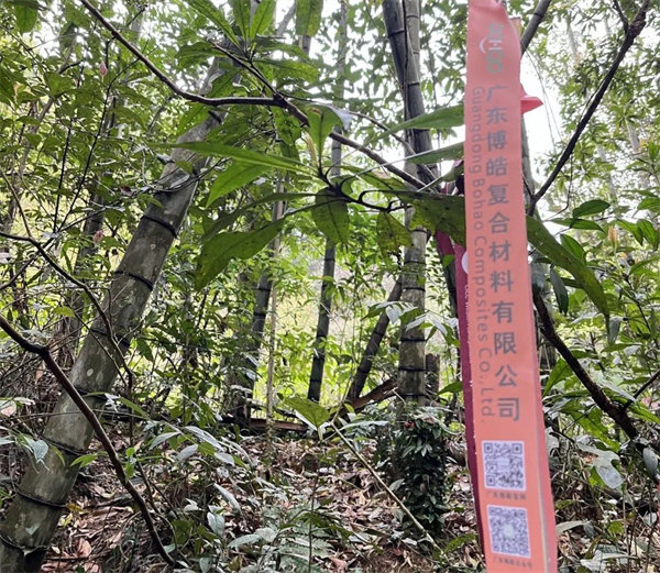 凝心聚力再出發(fā)，風(fēng)雨同舟赴星溪！--廣東博皓2024龍年首登星溪之旅     -2