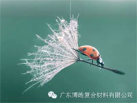 【博皓感悟】成功，要“借力”，不要“盡力”