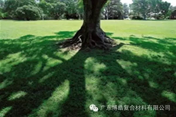 【博皓感悟】欲為大樹，莫與草爭-6