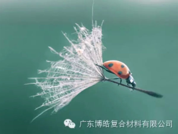 【博皓感悟】成功，要“借力”，不要“盡力”